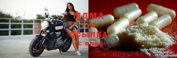 PSILOCYBIN Михайлов