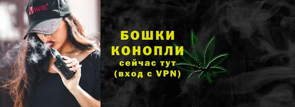 PSILOCYBIN Михайлов