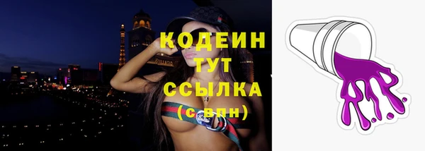 молекула духа Михайловск