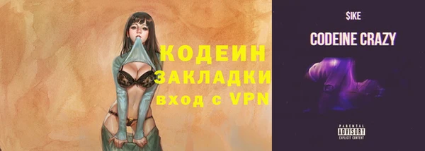 молекула духа Михайловск