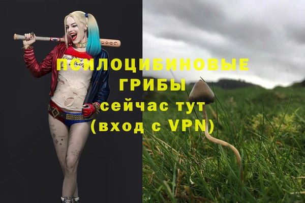 МДМА Михайловка