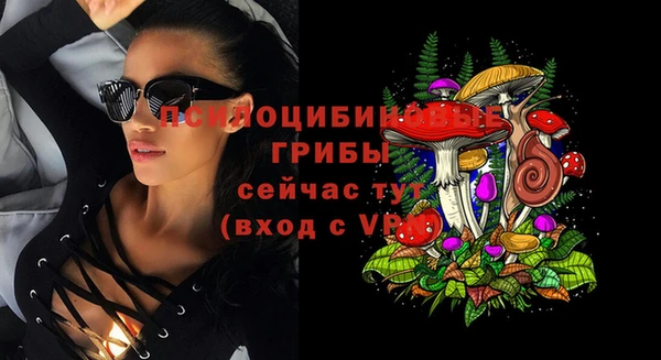 молекула духа Михайловск