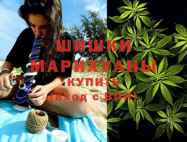 PSILOCYBIN Михайлов
